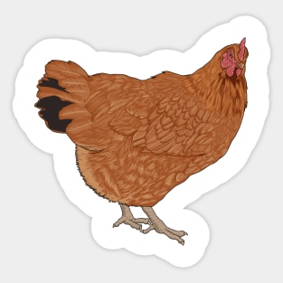 New Hampshire Chicken Sticker